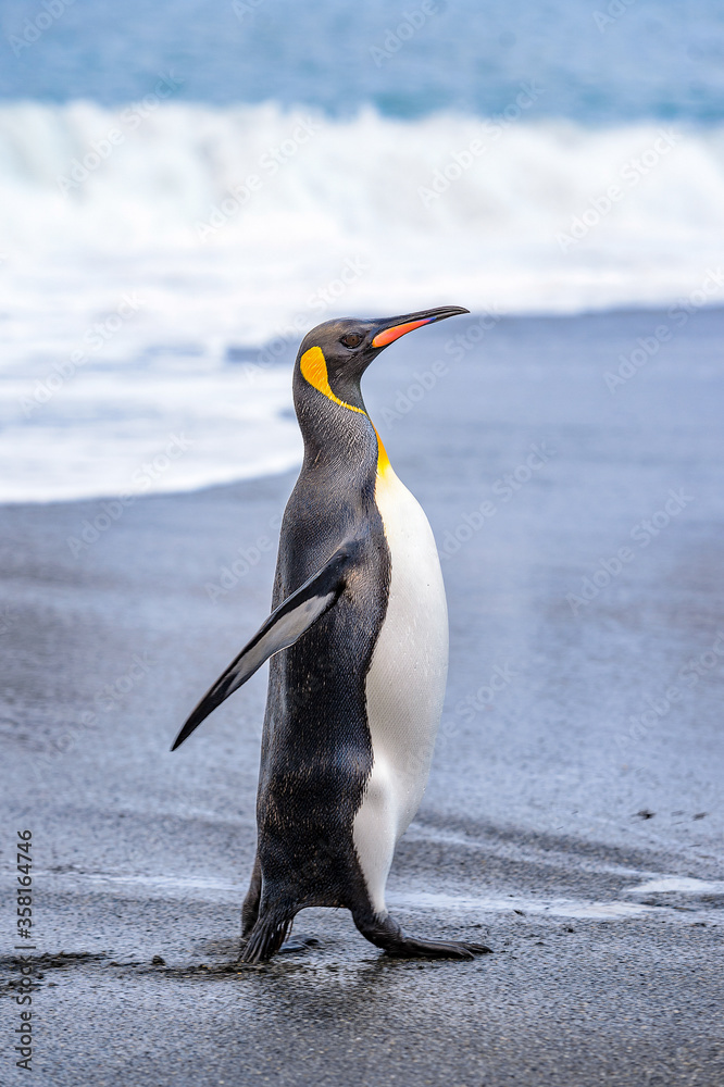 Antarctica, South Pole