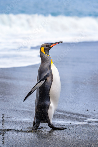 Obraz na płótnie Antarctica, South Pole w salonie