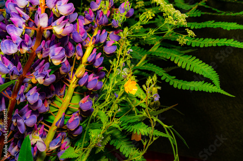 a mixture of forest flowers. purple lupine  green fern.