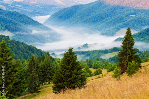 Summer landscape in Apuseni Mountains, Romania photo