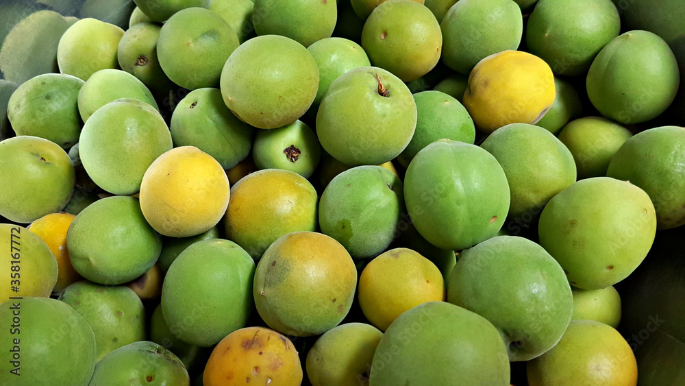 매실 열매 청매실 황매실