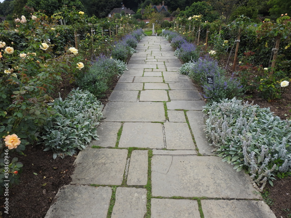 Garden walkway with flowers on both sides
