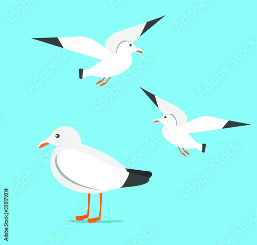 Atlantic bird in cartoon style, sea gull in blue sky in flat style, blue background and gull in flight, bird flying, gull with orange beak, set of sea birds