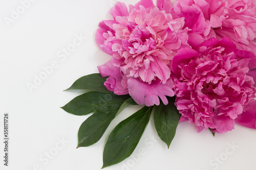 Fototapeta Naklejka Na Ścianę i Meble -  bouquet of pink peonies on a white background
