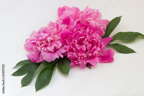 bouquet of pink peonies on a white background