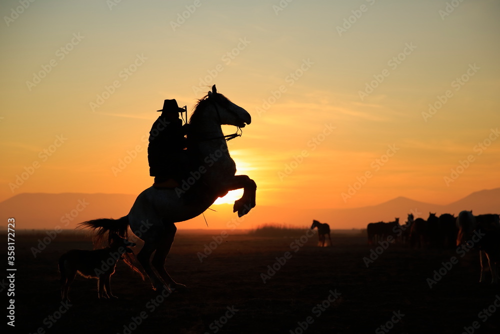 Rider and prancing horse. A view at sunset. Cappadocia, Turkey