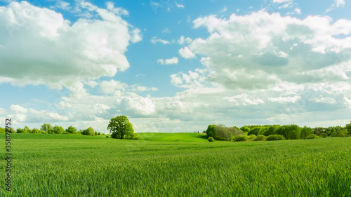 Fototapeta Naklejka Na Ścianę i Meble -  green field and blue sky