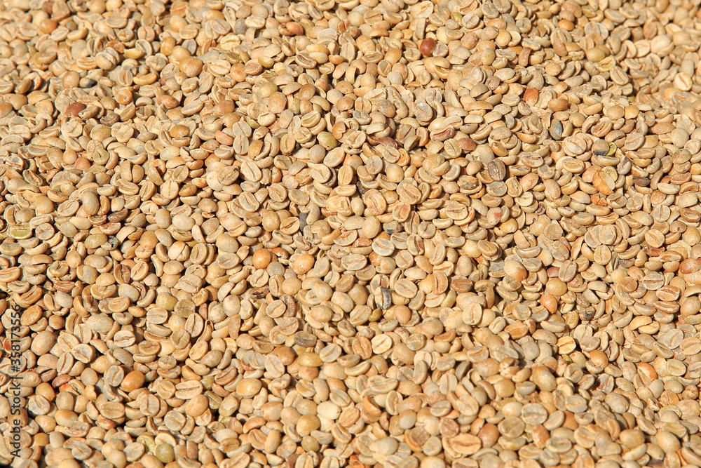 Green unroasted coffee beans. Stack view. Green unroasted coffee beans. Stack view.