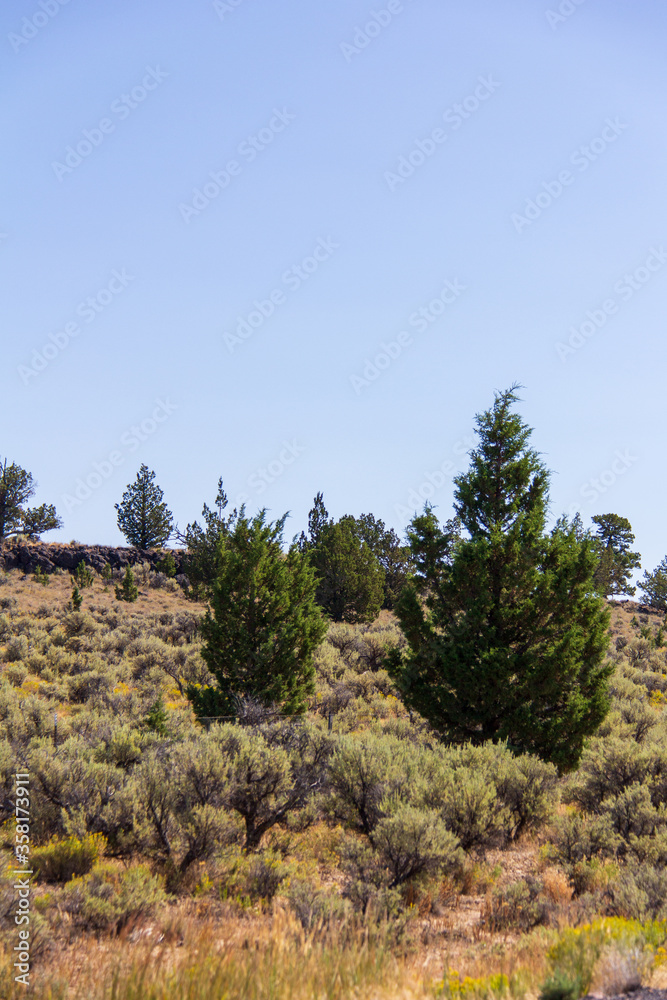 Colorful sage brush, juniper and volcanic rock in the high desert of eastern Oregon