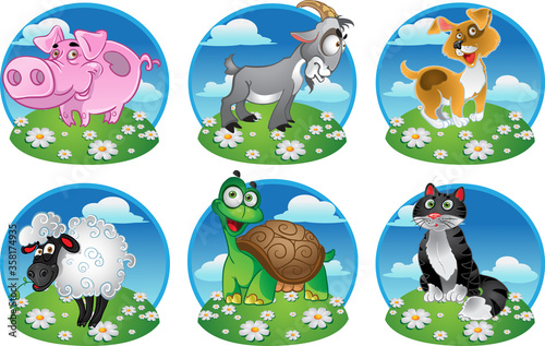 Funny pig goat cat sheep dog tortoise on color background