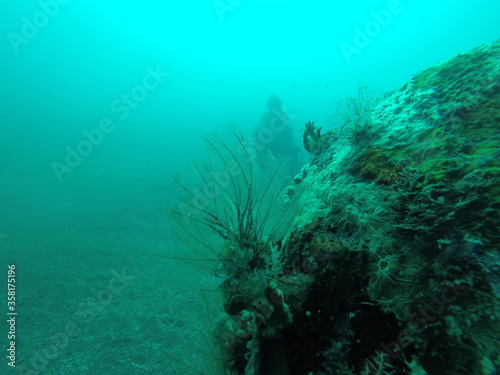 Plongée sous marine à Bali, Indonésie 