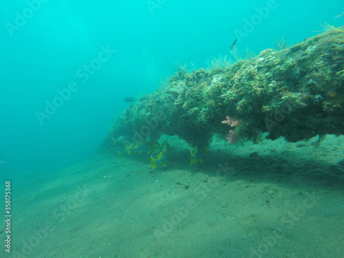 Epave, plongée sous marine à Bali, Indonésie