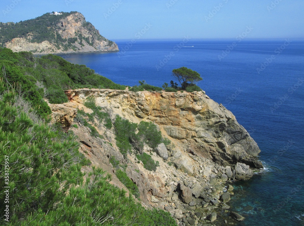 Seascape with a lonely tree on the cliff over incredibly blue sea, Ibiza, Spain