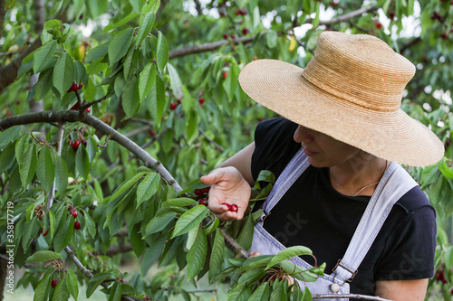 a girl with a straw hat and cherries photo