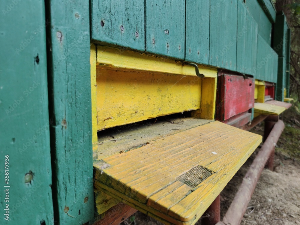 Empty bee apiary in nature.