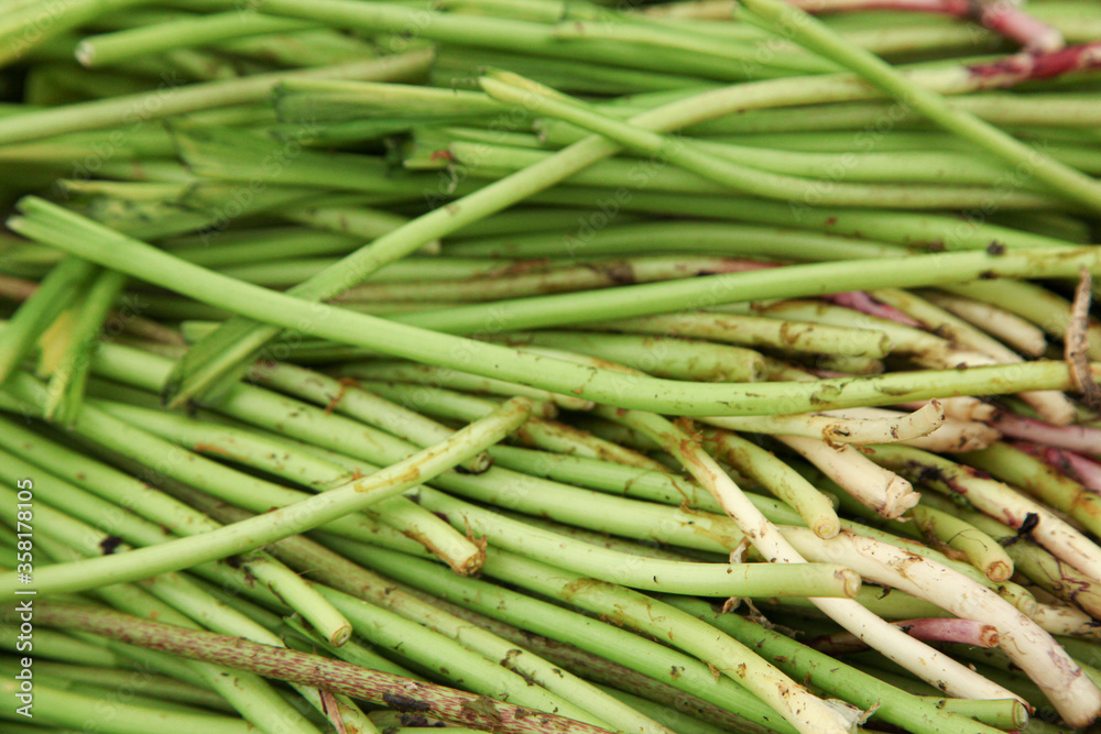 Green herbs, onions in the grocery stock Green herbs, onions in the grocery stock