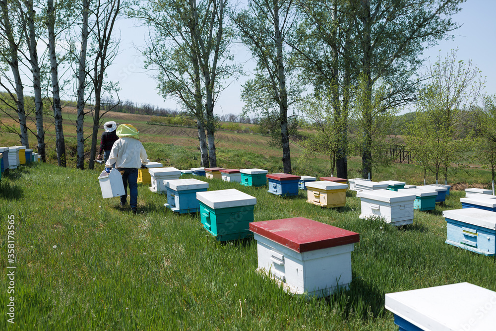 A row of bee hives in a private apiary in the garden. Honey industry. A row of bee hives in a private apiary in the garden. Honey industry.