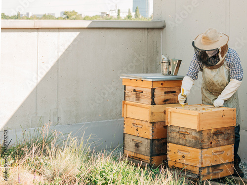 beekeeping in the city on the roof of the building