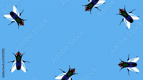 Flies on a blue background. Black flies randomly crawl along the border of the illustration. Template for a postcard, banner, invitation, or ad. Copy space.