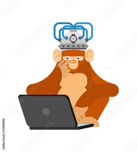 Monkey in brain stimulation helmet and computer. Chimpanzee looks at laptop. brain-control helm