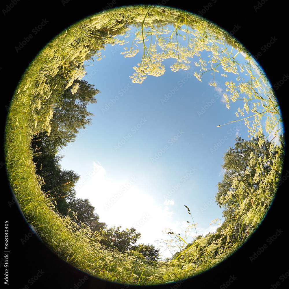 Foto Around on Sky