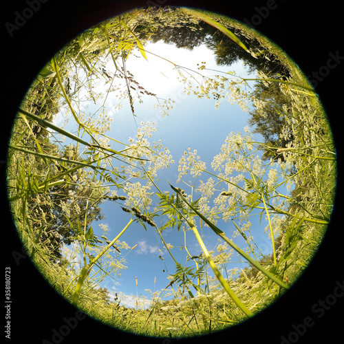 Around on Sky. Taken with a fisheye lens to give the special plate effect. The fresh air feel and clear blue sky are shown on the picture.
