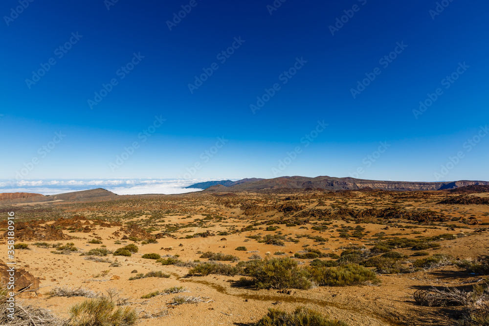 Fototapeta premium Teide National Park, Tenerife, Canary Islands, Spain