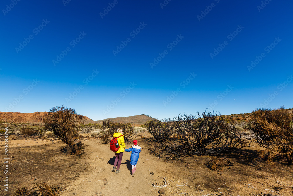 Teide National Park, Tenerife, Canary Islands, Spain