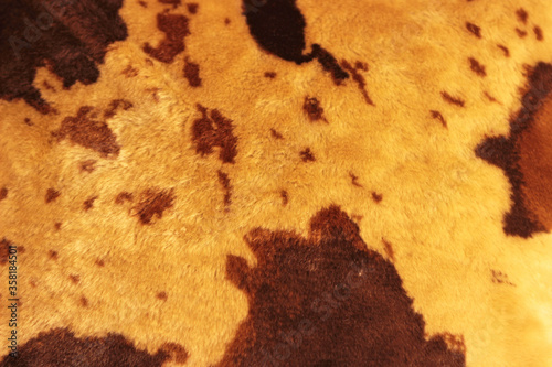 Beautiful buffalo, cow or bull faux fur. Buffalo skin hear texture.Texture or background concept. Close up.