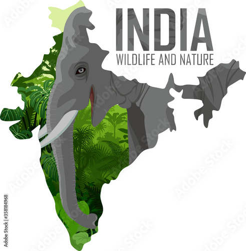 vector India map with indian elephant