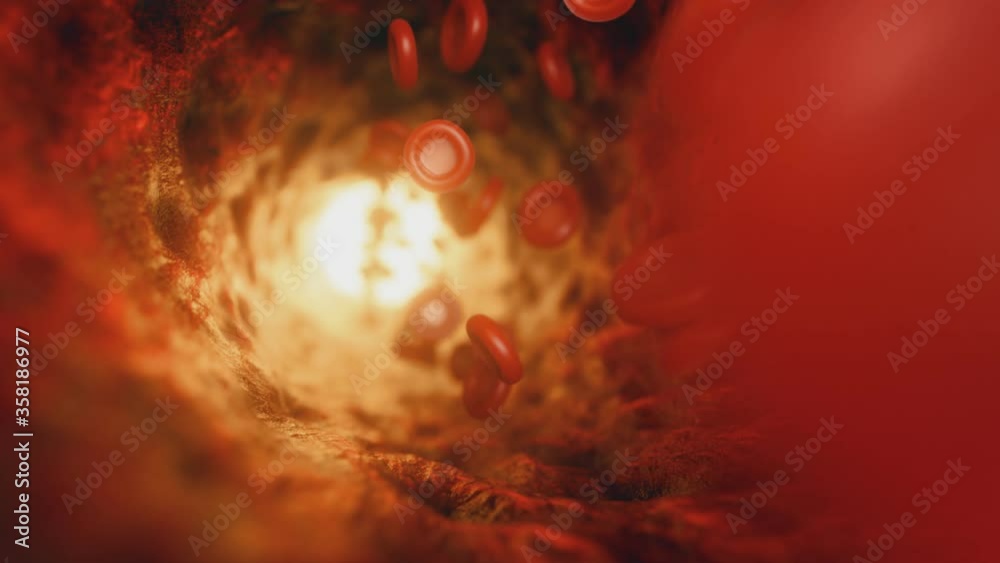 Red blood cells travelling through a blood vessel. Seamless loop 3d render