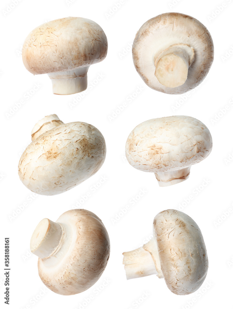Set with fresh champignon mushrooms on white background