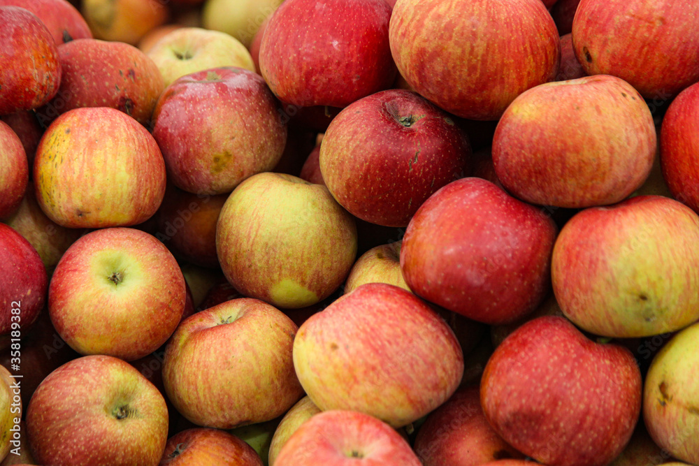 Red apples with yellow color tones on them Red apples with yellow color tones on them