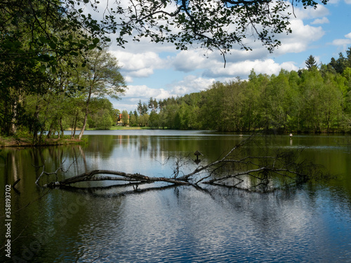 Fototapeta Naklejka Na Ścianę i Meble -  Lake in Kaszuby surrounded by the trees.Poland