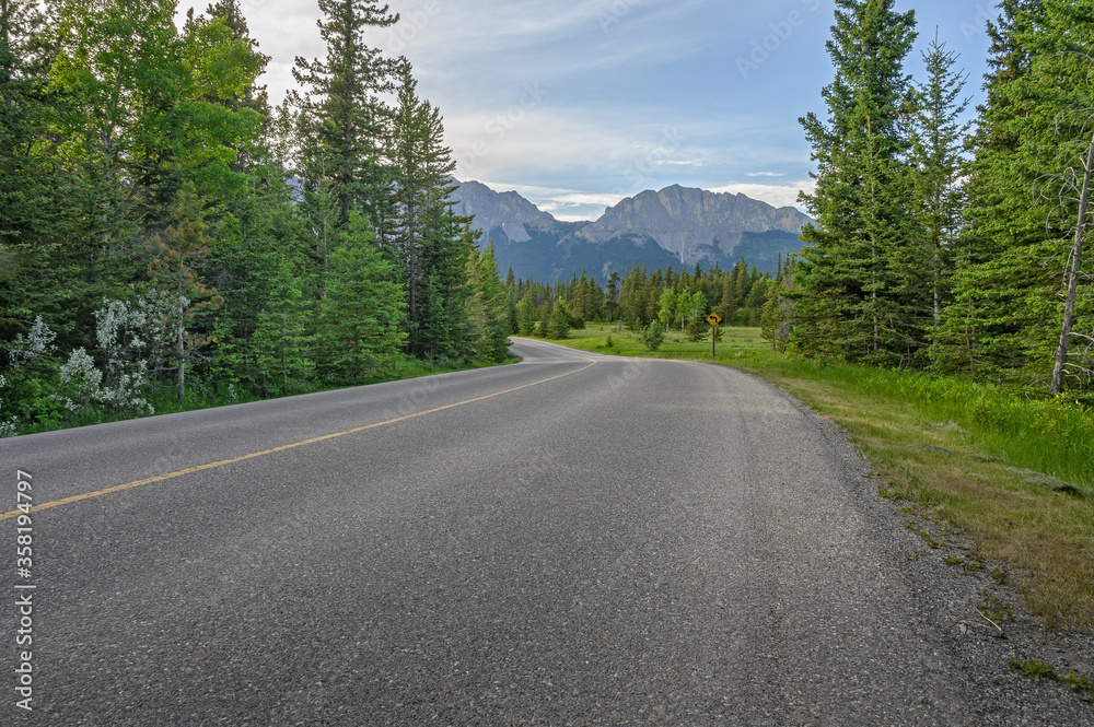 Road through a mountain meadow in Bow Valley Provincial Park in Alberta, Canada