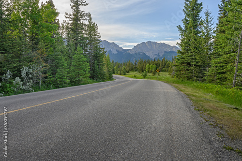 Road through a mountain meadow in Bow Valley Provincial Park in Alberta, Canada