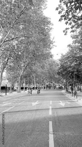 cycling in a empty road with trees, black and white