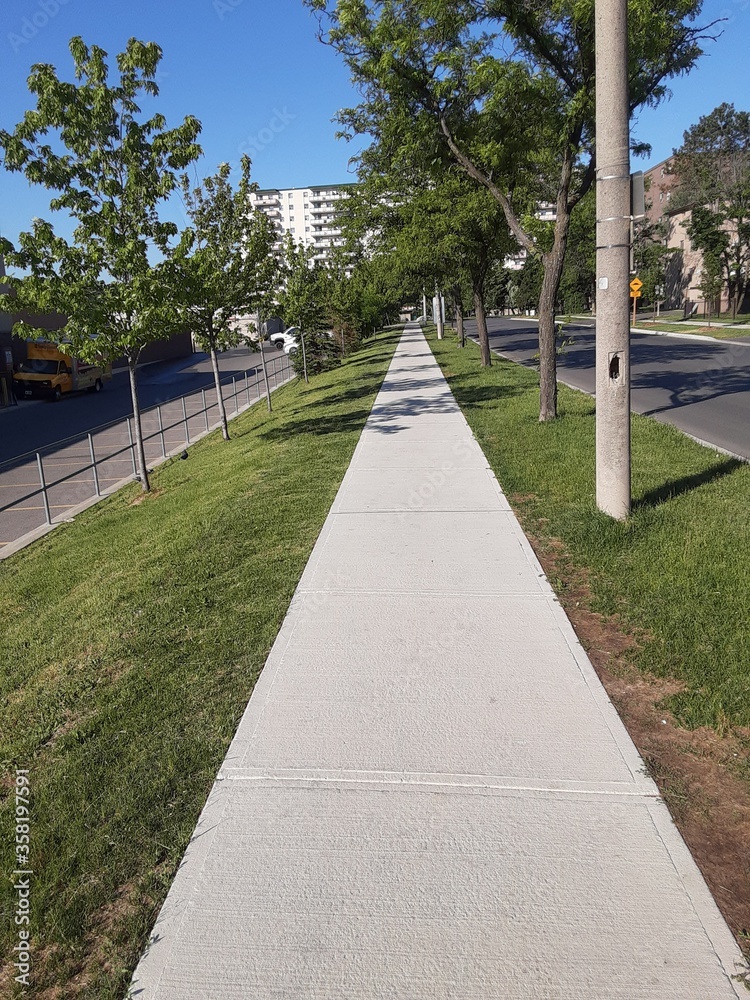 Obraz premium walkway in the park