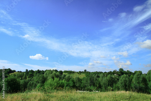 Beautiful summer landscape of nature countryside. Green vegetation of grass and trees with hills. Stock photo for design