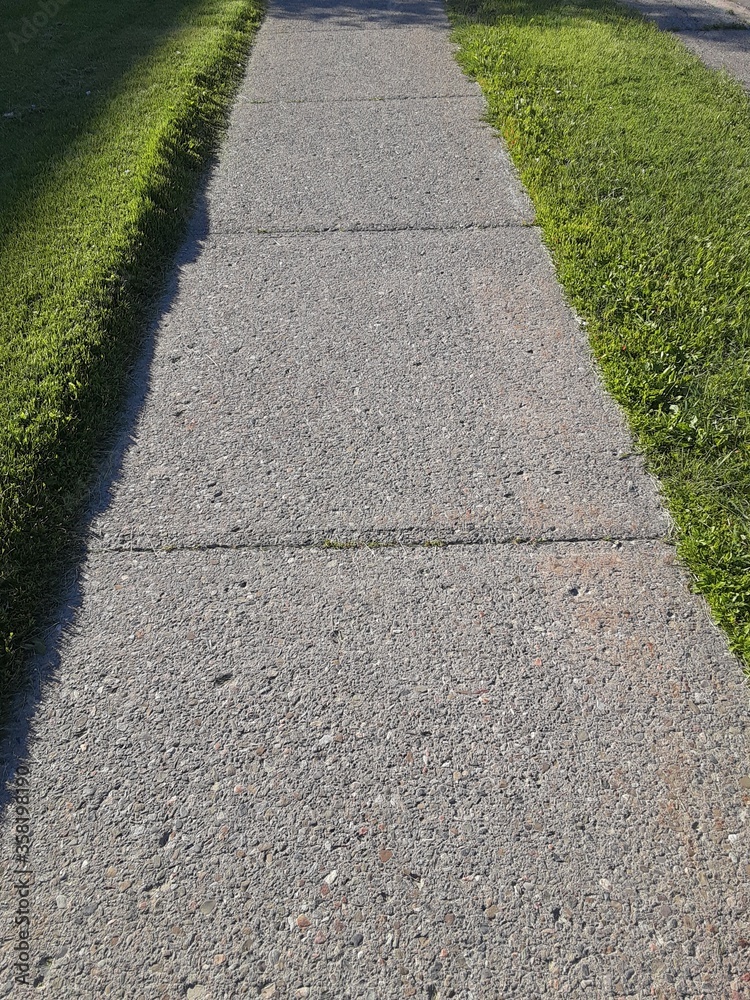 Obraz premium path in the park