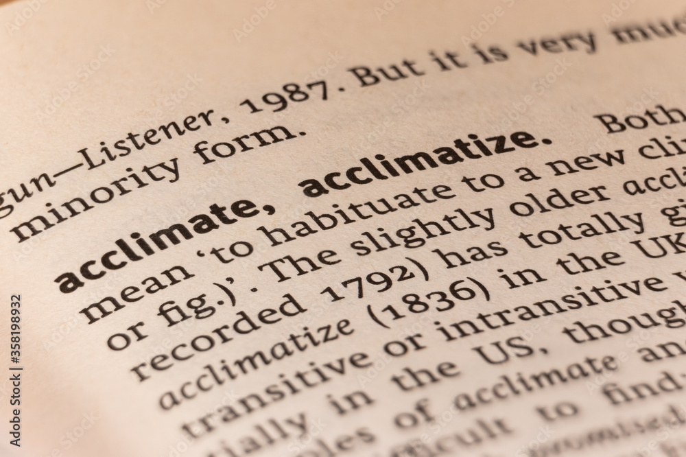 Dictionary definition of the word acclimate Dictionary definition of the word acclimate