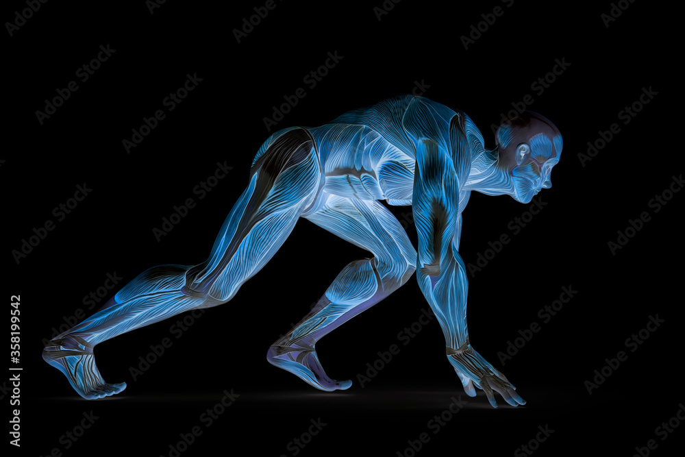 Obraz premium muscleman anatomy heroic body doing a runner pose in white background