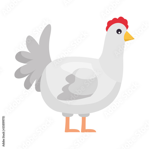 Isolated farm cute hen vector design