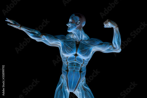 muscleman anatomy heroic body doing a bodybuilder pose eleven in white background