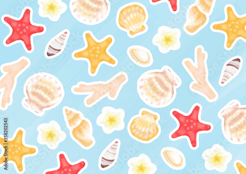 夏　海　貝殻　フレームイラスト