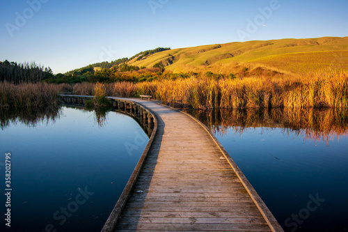 Wetlands during the sunset, Hawke's Bay