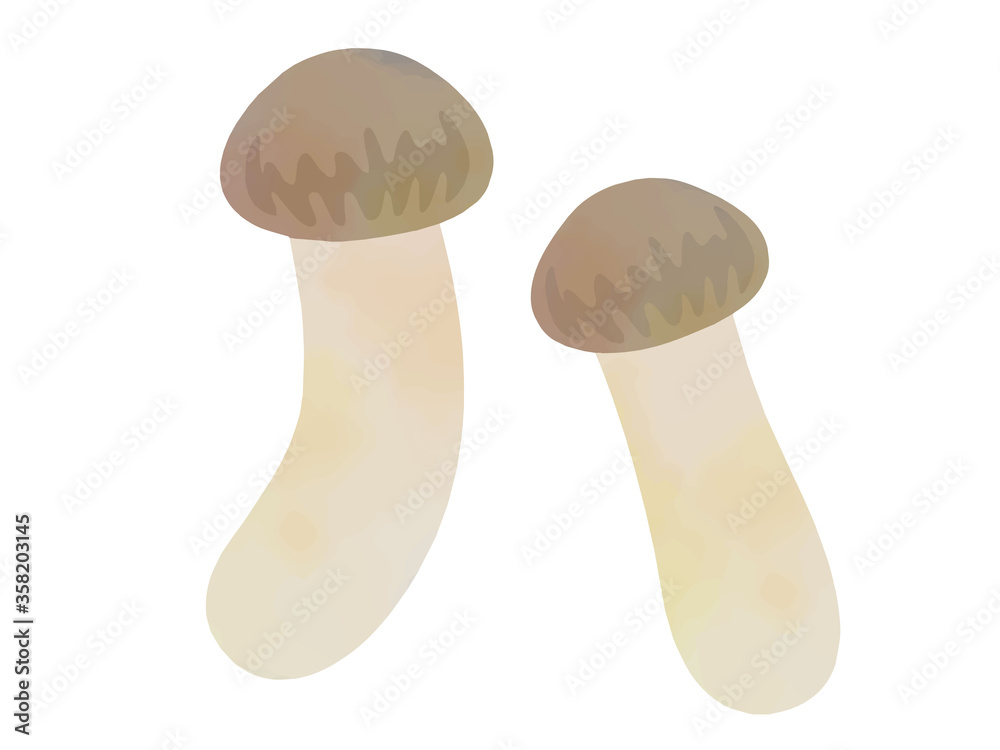 Fototapeta premium キノコの水彩イラスト