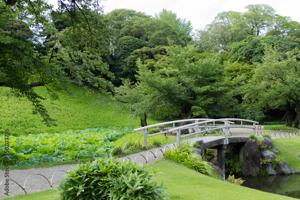 Promenade and Bridge at Koishikawa Korakuen Gardens