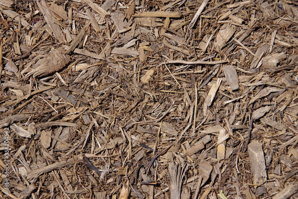 High angle full frame close-up view directly from above of an area with chipped wood and other plant material as ground cover High angle full frame close-up view directly from above of an area with chipped wood and other plant material as ground cover