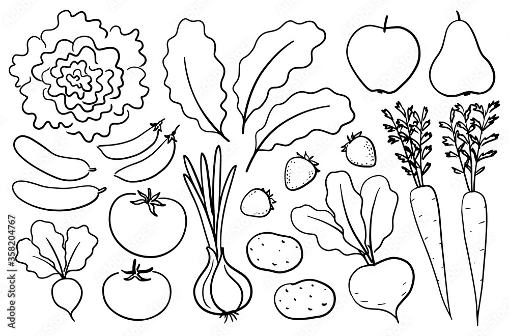 Handdrawn farm produce. Set of vector illlustrations in ink drawing
